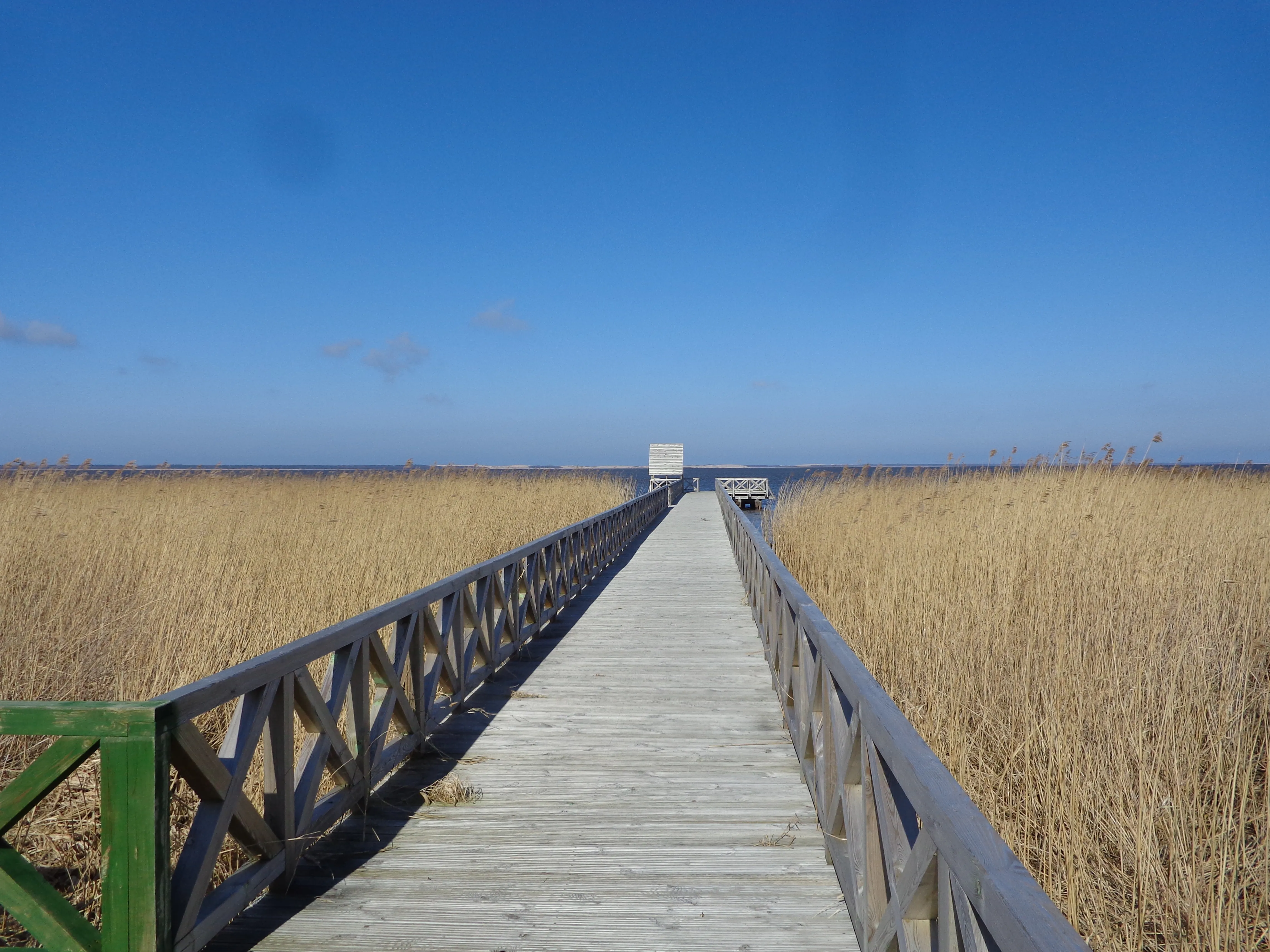 Hydrotechnika śródlądowa